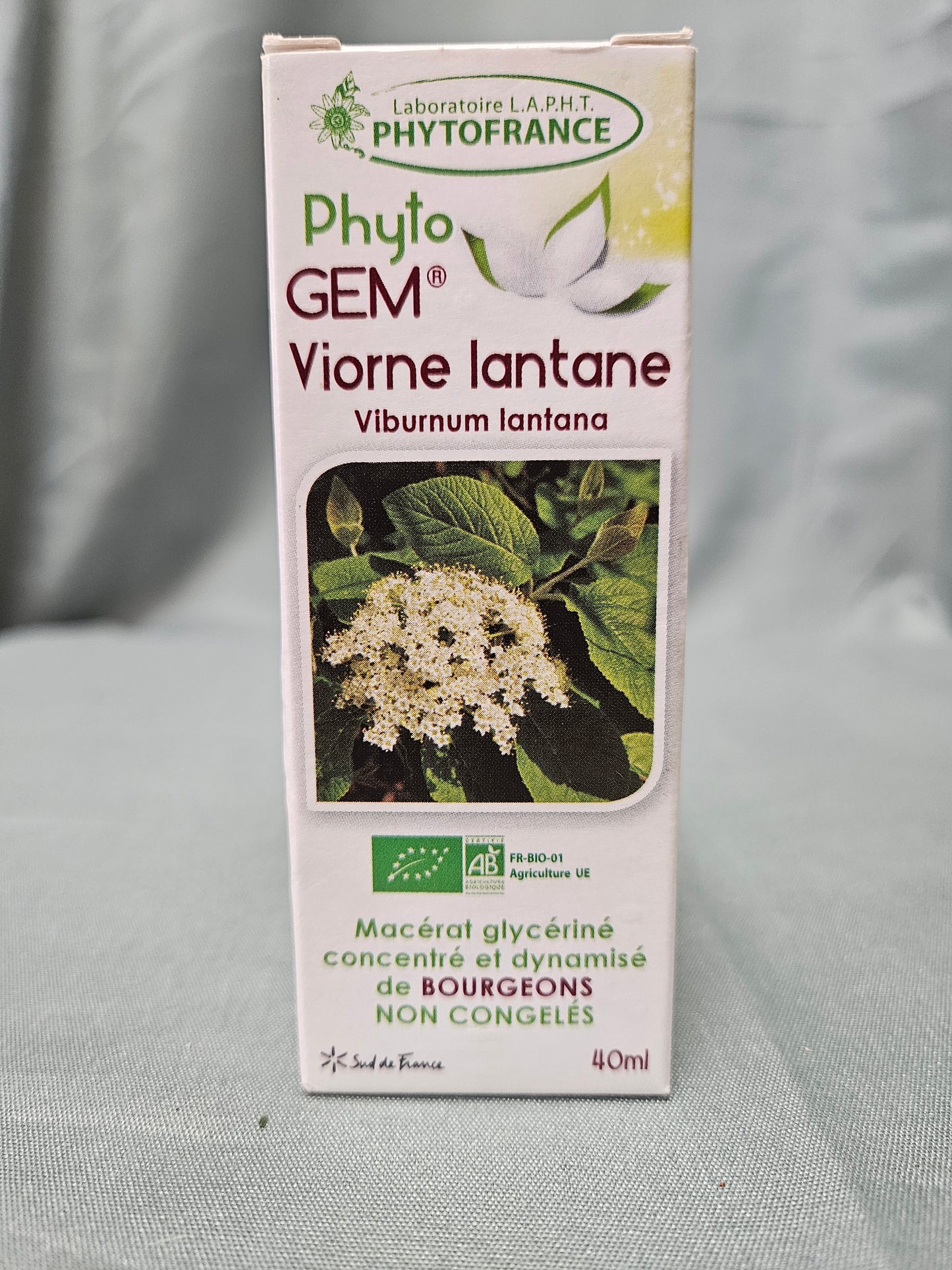 Phtyo gem Macérât de bourgeons de Viorme 40 ml phytofrance