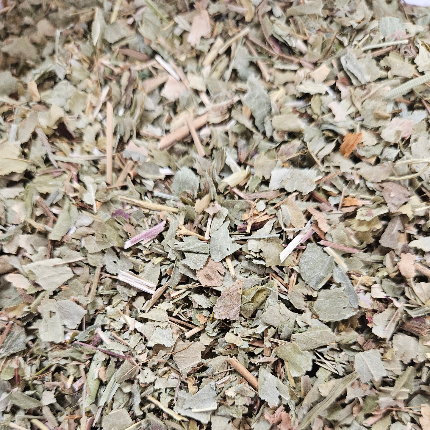 Alchemille partie aérienne