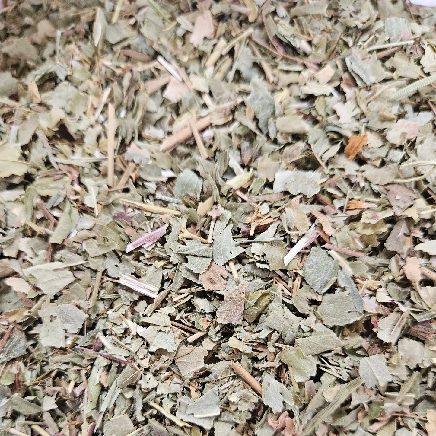 Alchemille vulgaire partie aérienne coupé ( alchemilla vulgaris ) Ma boutique