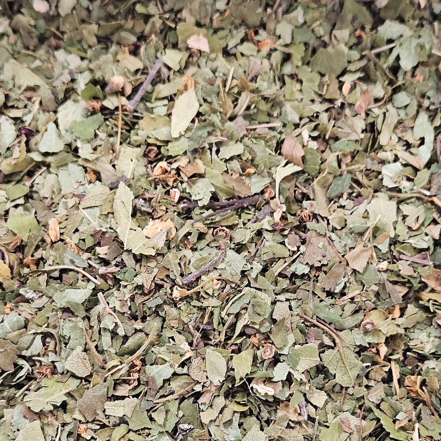 Aubépine partie aérienne