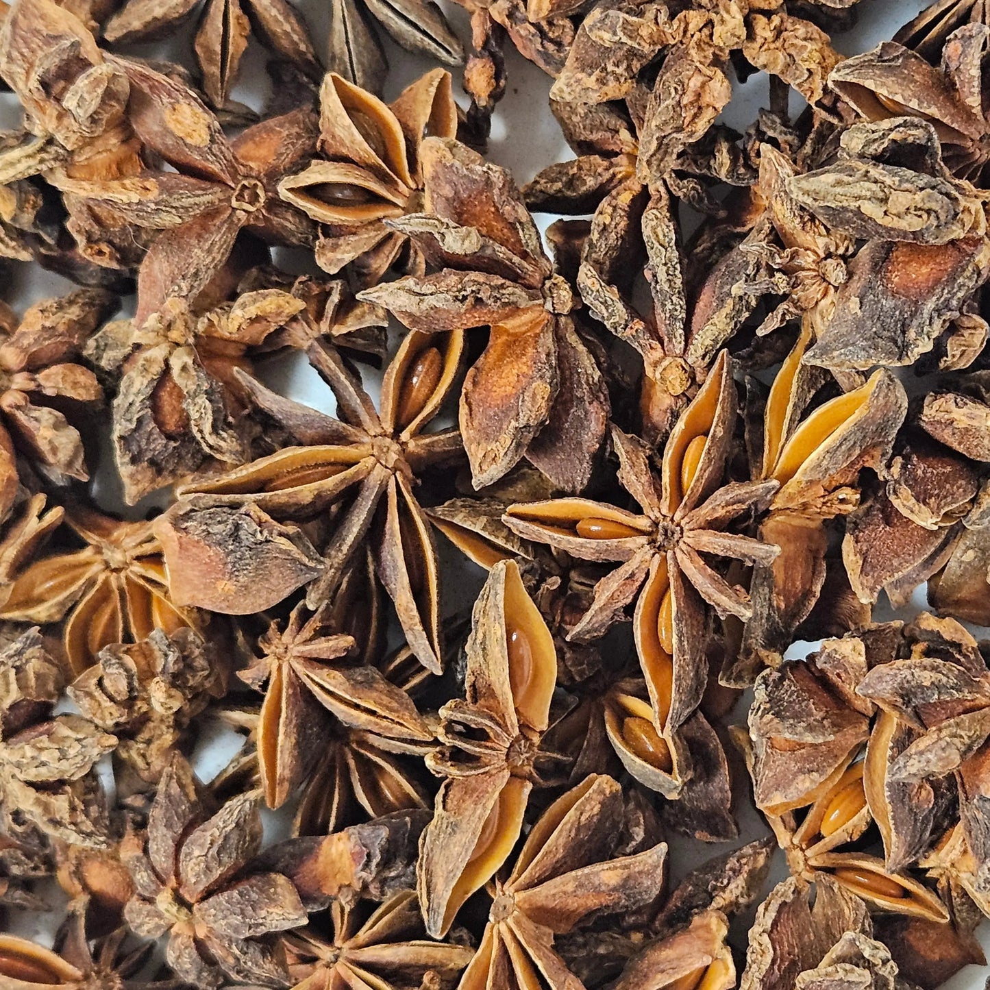 Badiane ( anis étoile ) fruit ( illicium verum ) Ma boutique