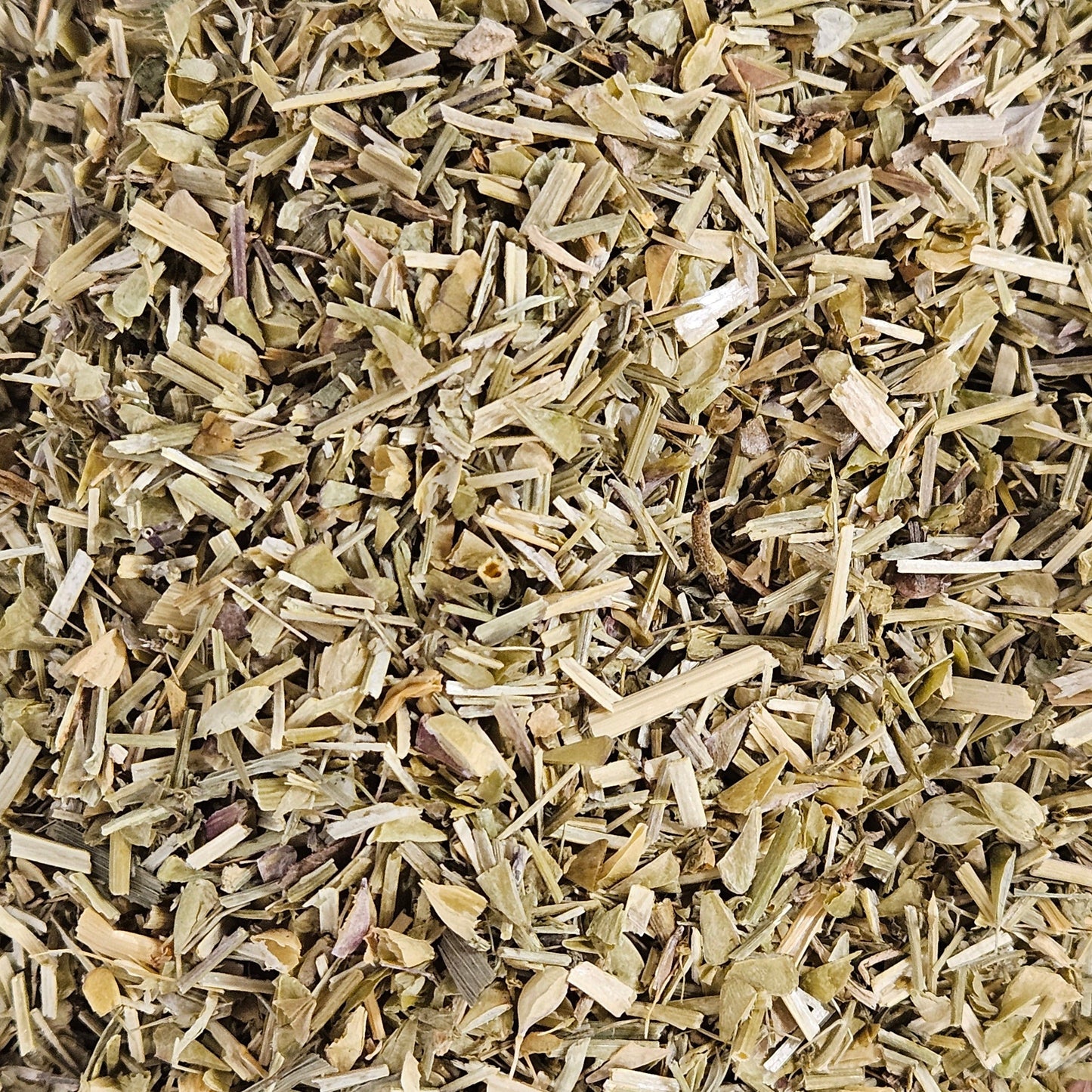 Bourse à pasteur partie aérienne coupé ( capsella bursa pastoris ) Ma boutique
