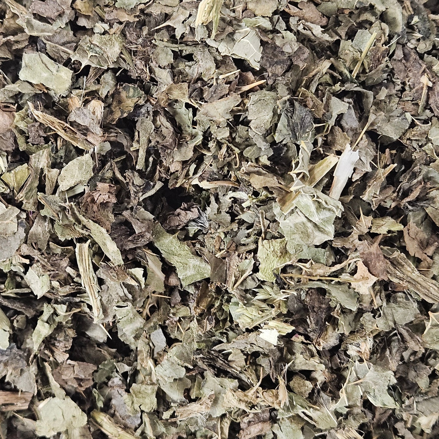 Chardon marie partie aérienne