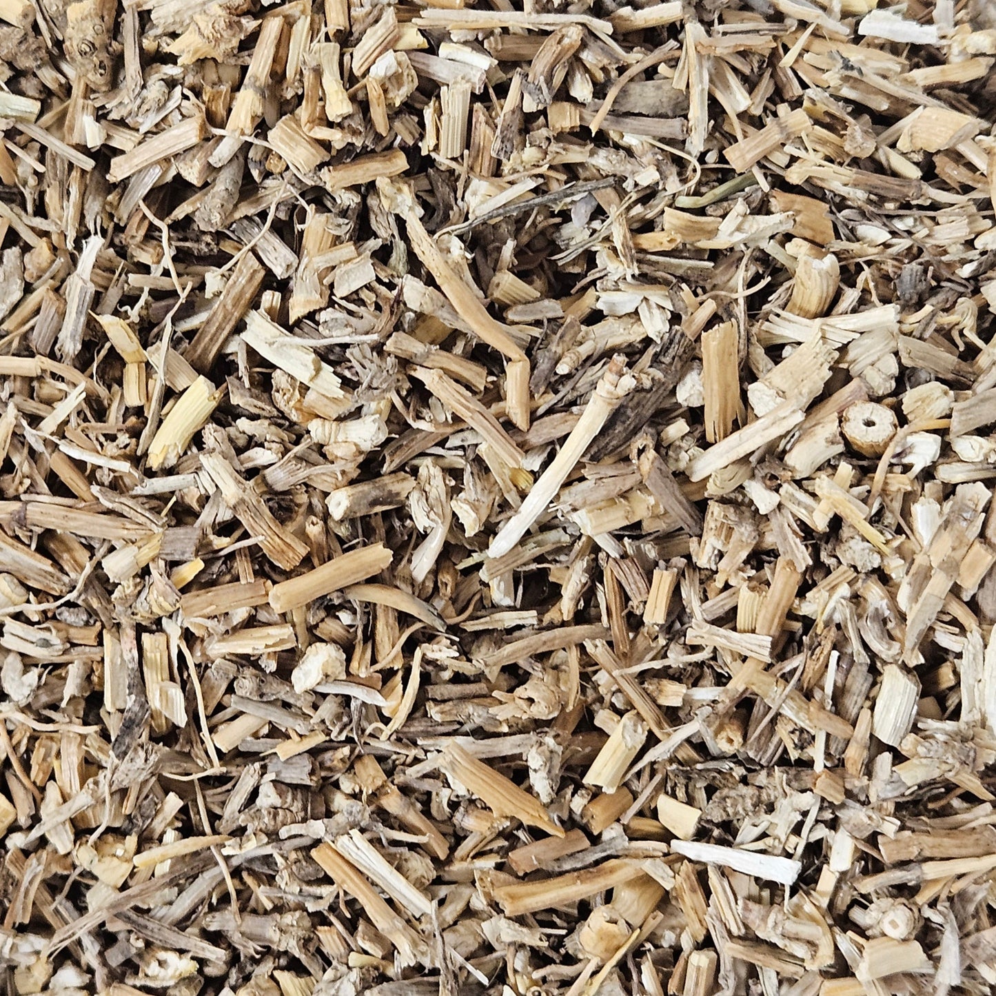 Chiendent officinal rhizome coupé ( agropyrum repens ) Ma boutique