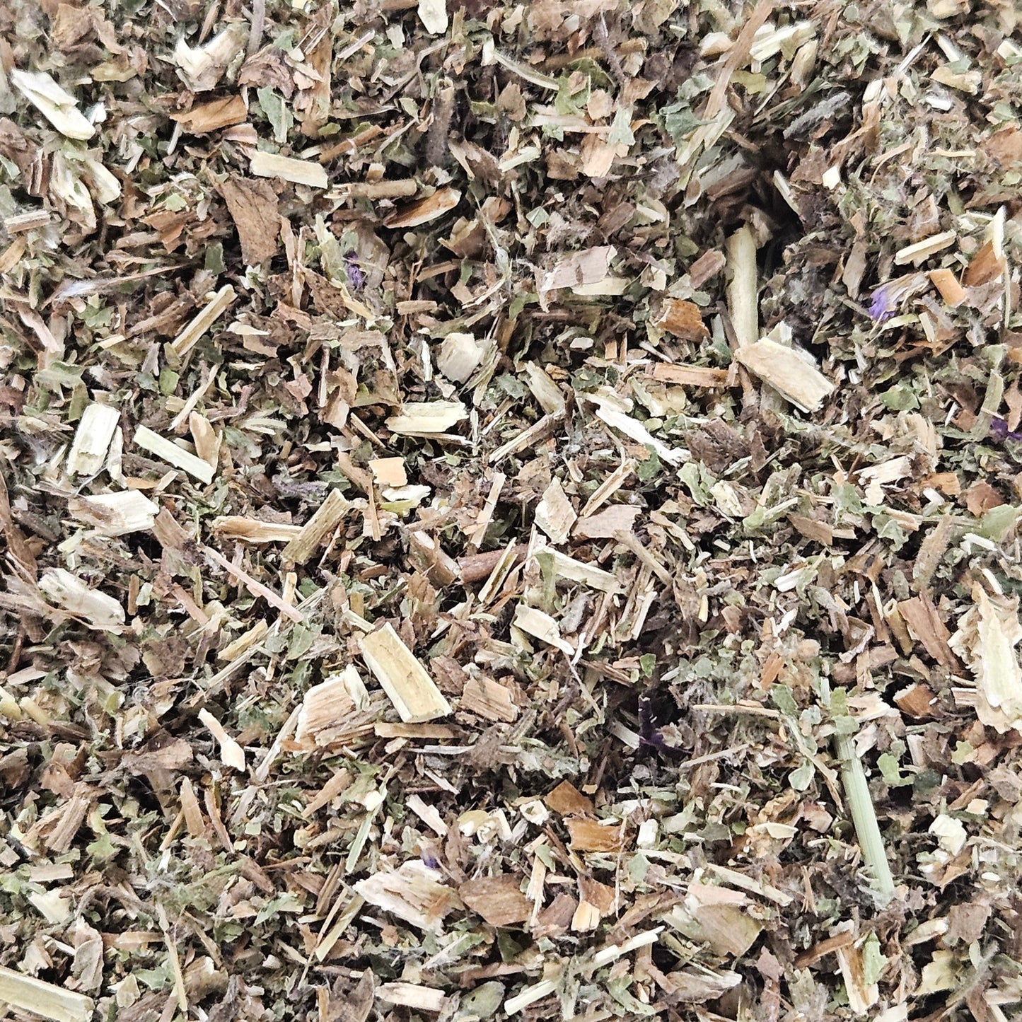 Epilobe parviflorum partie aérienne coupé ( epilobium parviflorum ) Ma boutique