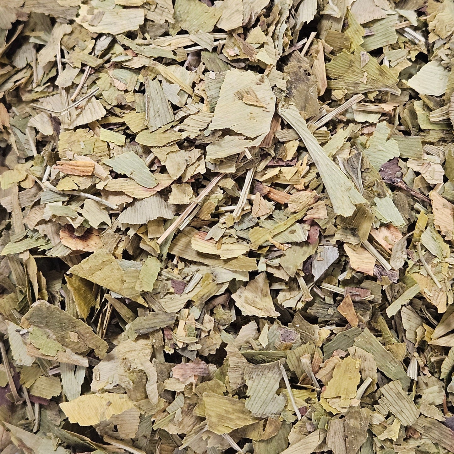 Gingko feuille coupé ( gingko biloba ) Ma boutique