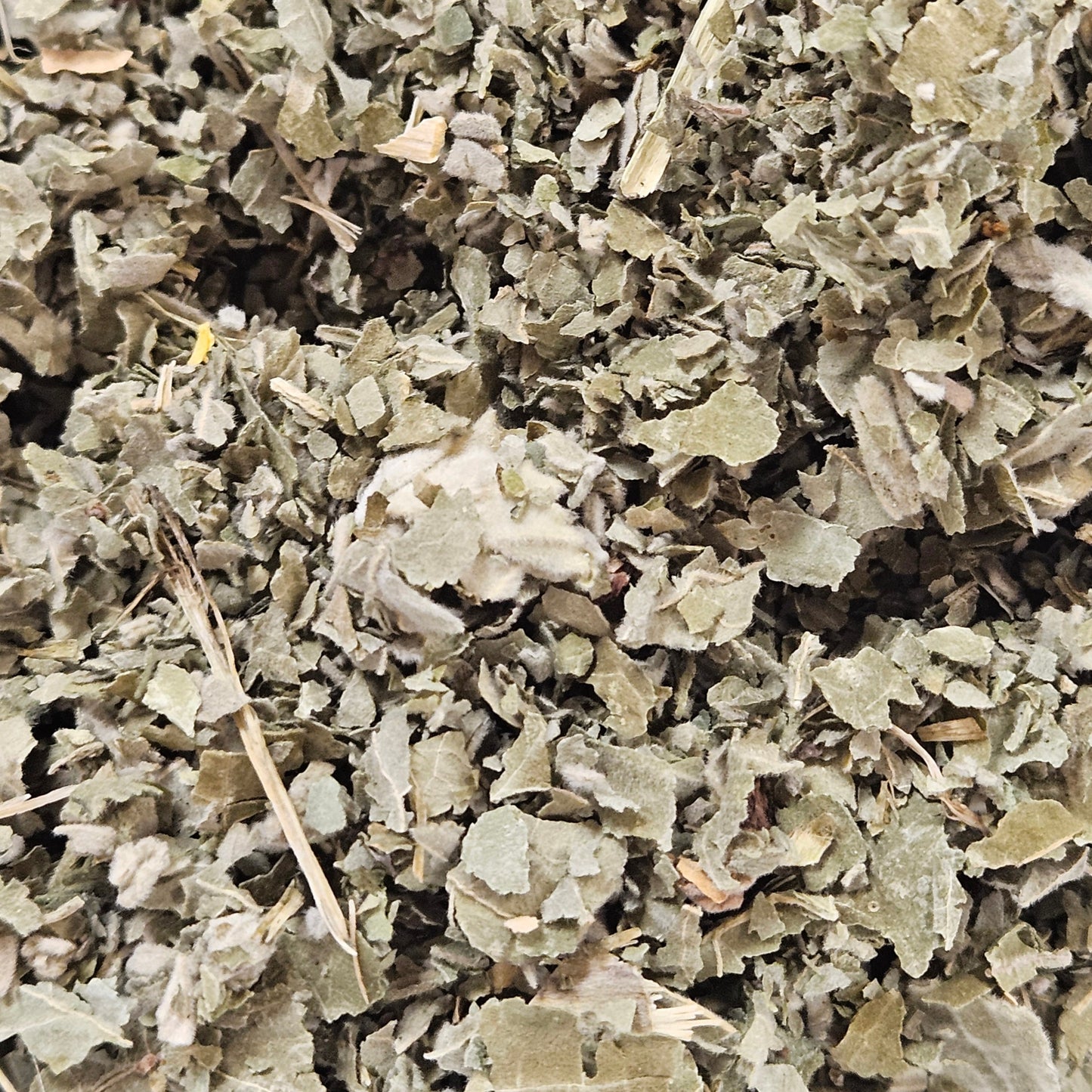 Framboisier feuilles
