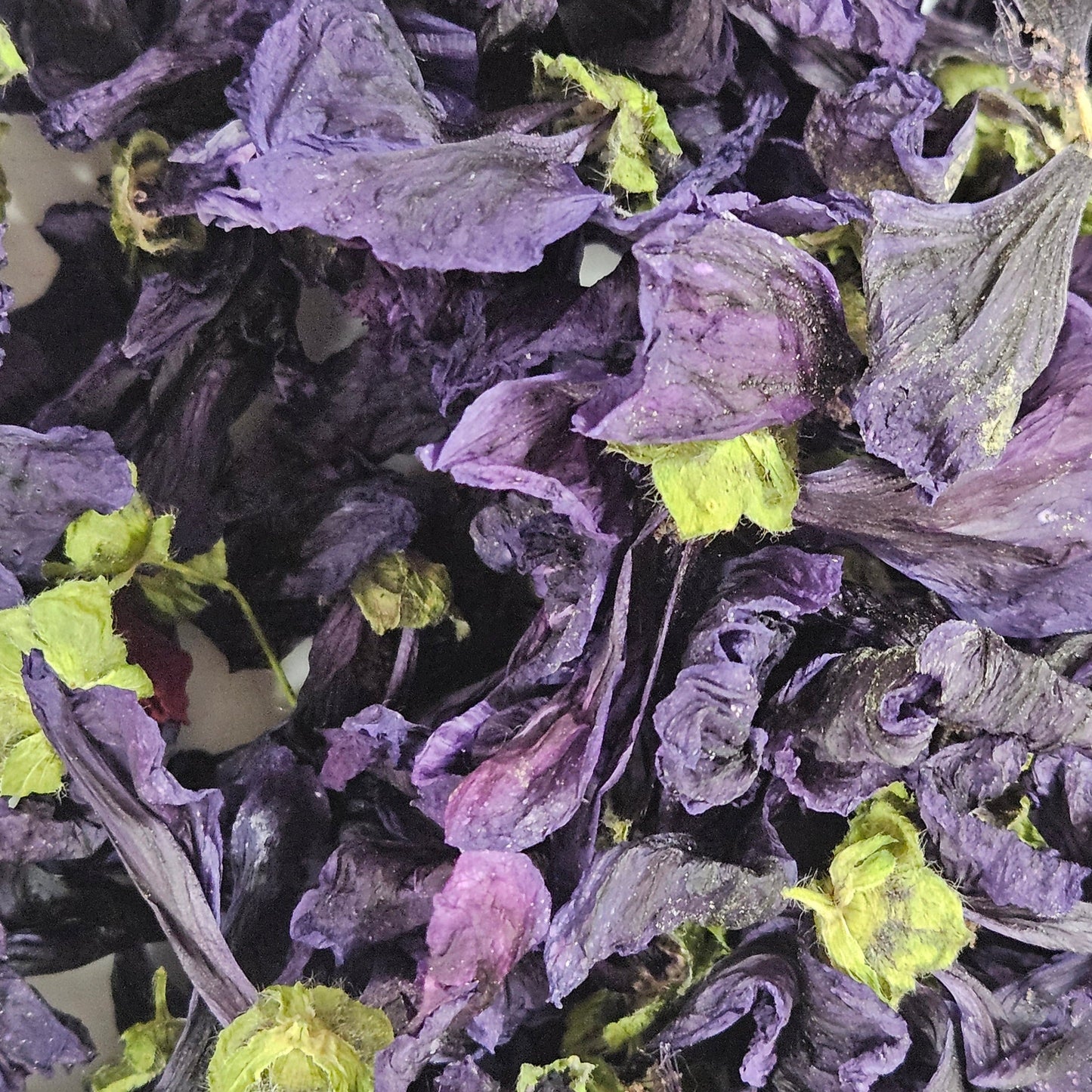 Mauve fleurs Ma boutique