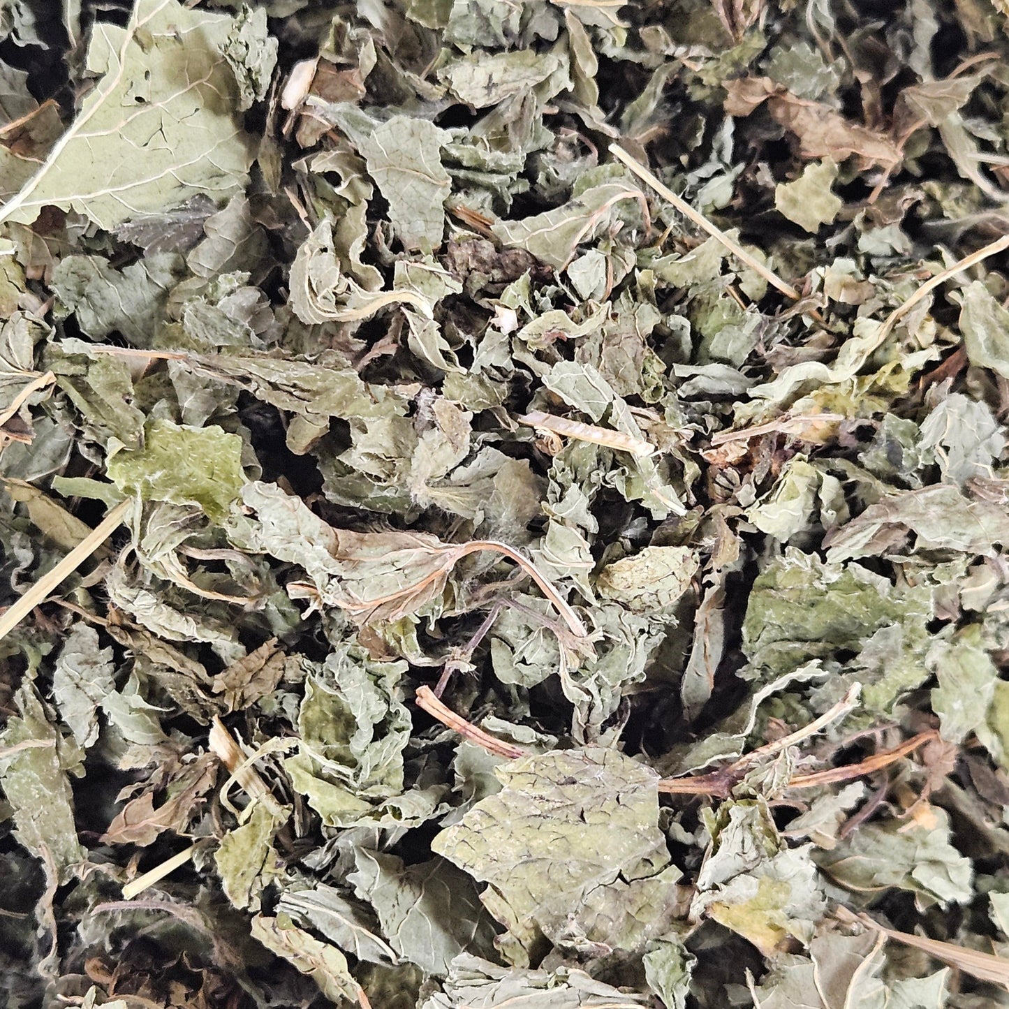 Melisse bio feuille entière ( melissa officinalis ) Ma boutique