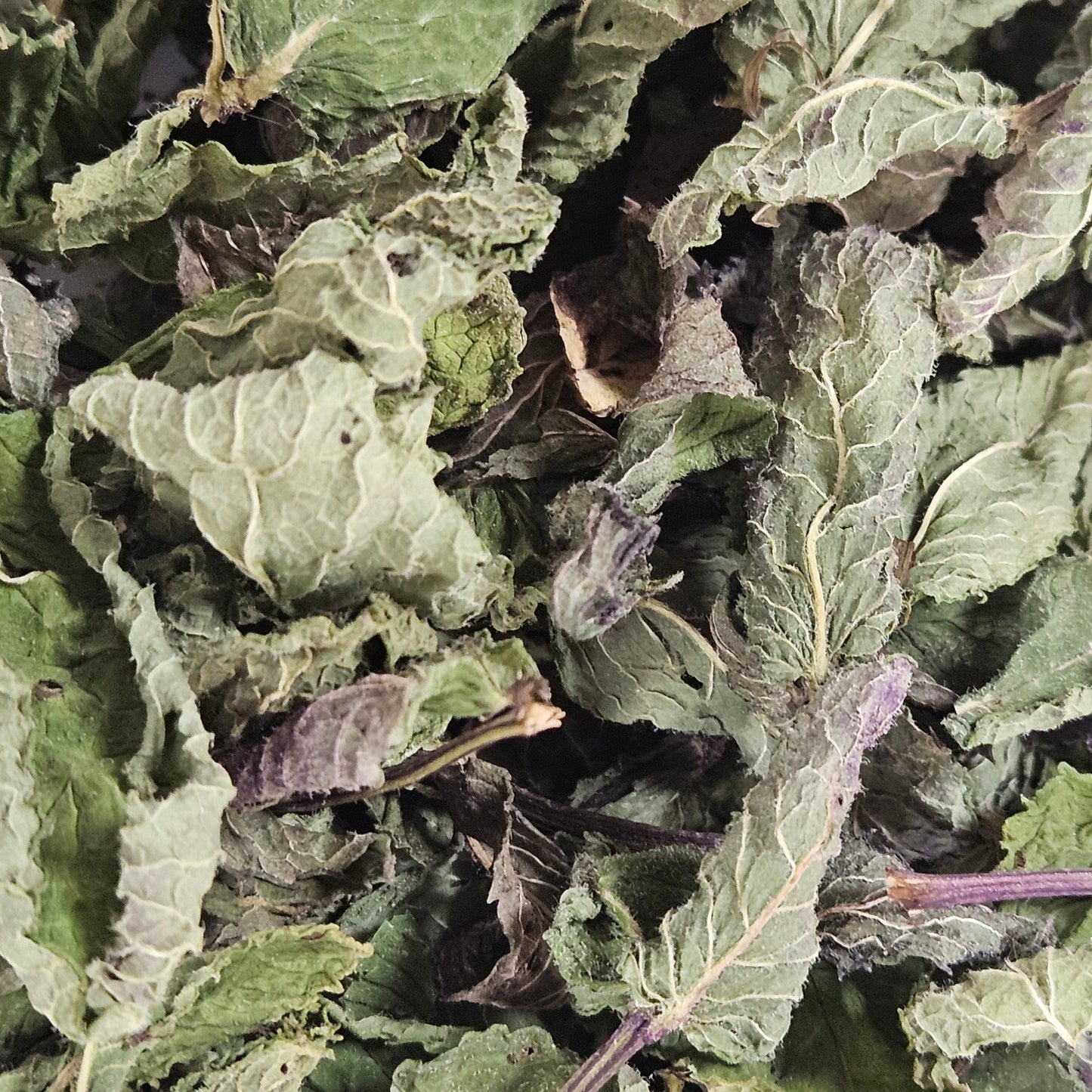 Menthe poivrée feuille entière ( mentha piperita ) Ma boutique