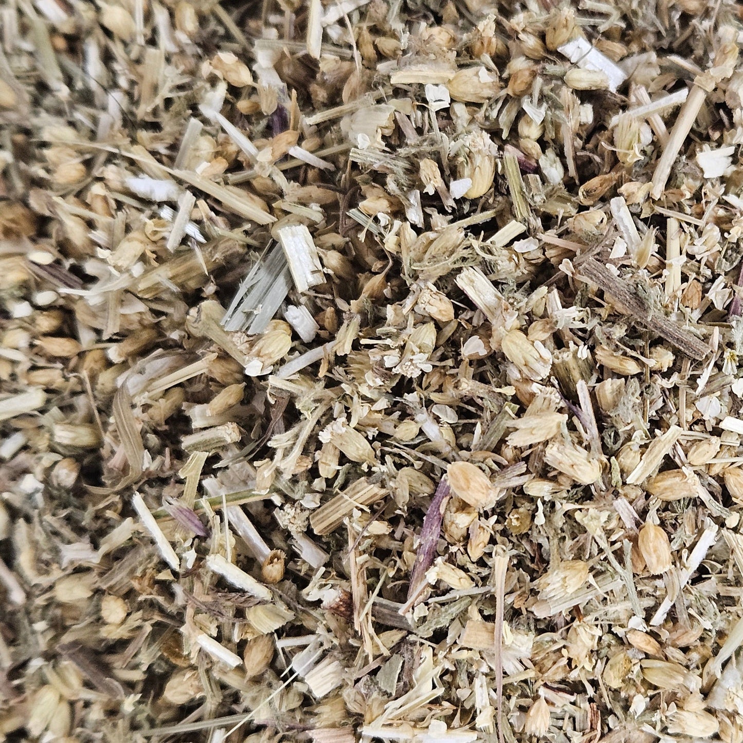 Achillée millefeuille partie aérienne Ma boutique