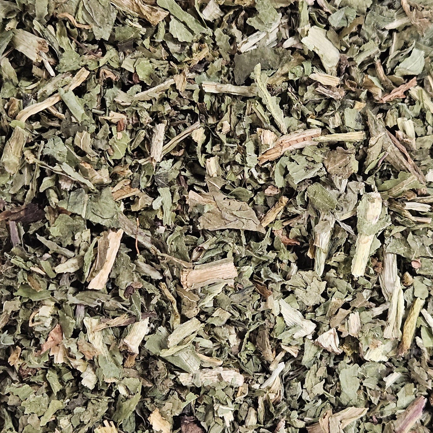 Pissenlit feuille coupé ( taraxacum dens leonis ) Ma boutique