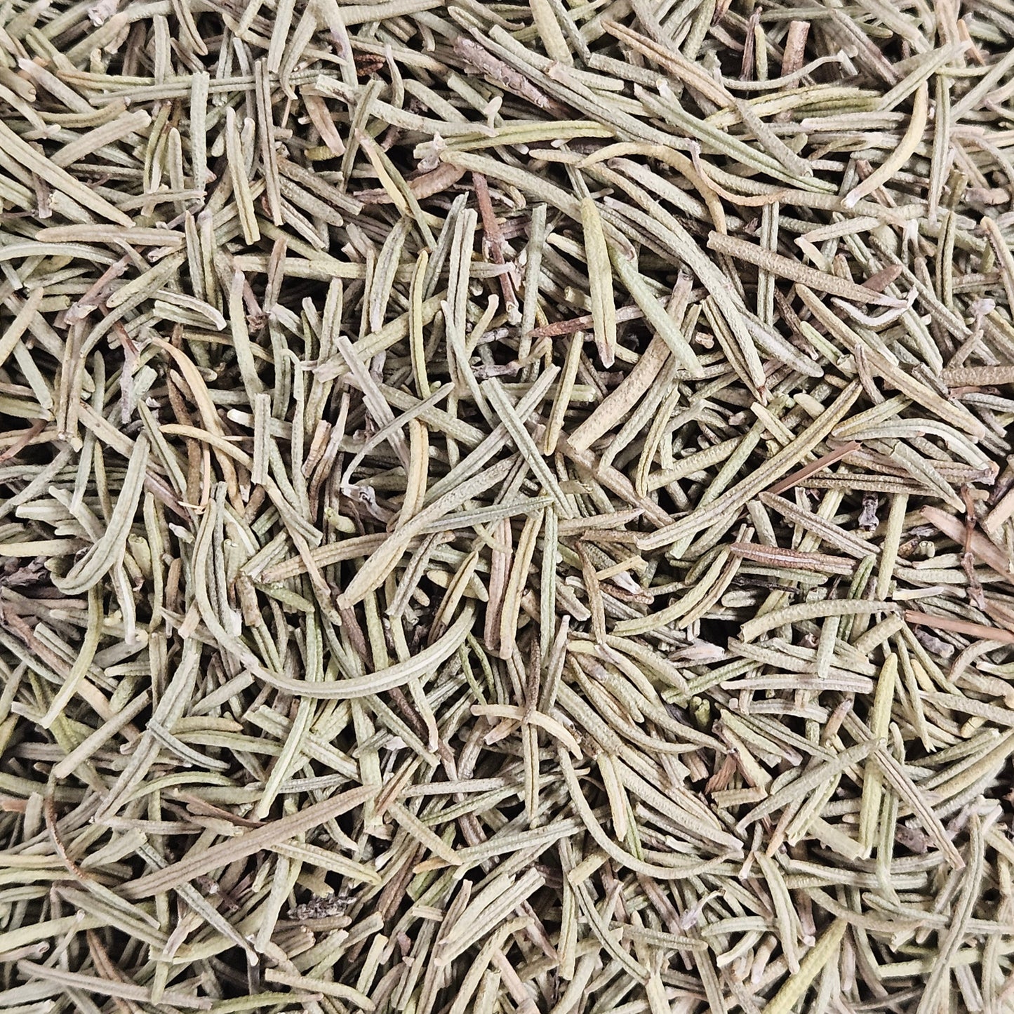 Romarin
