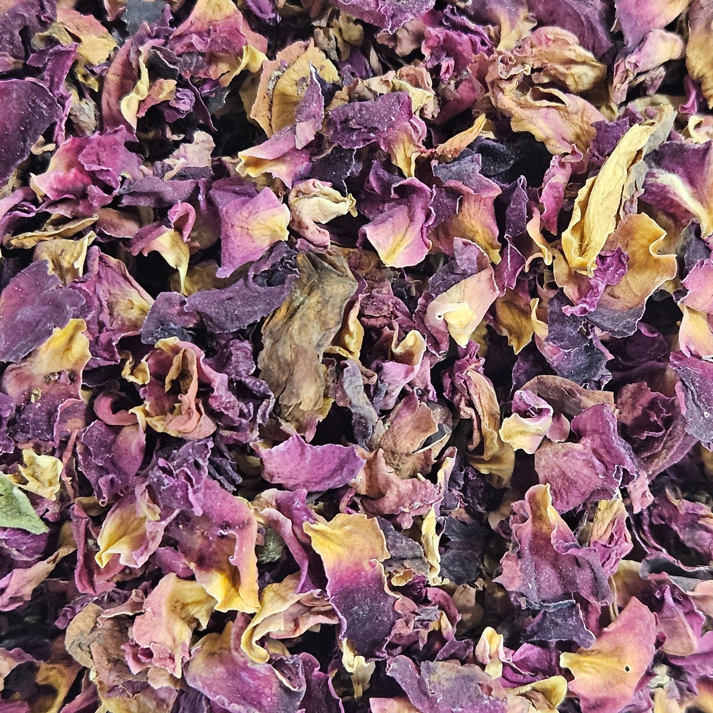 Rose du maroc ( rosa centifolia ) Ma boutique
