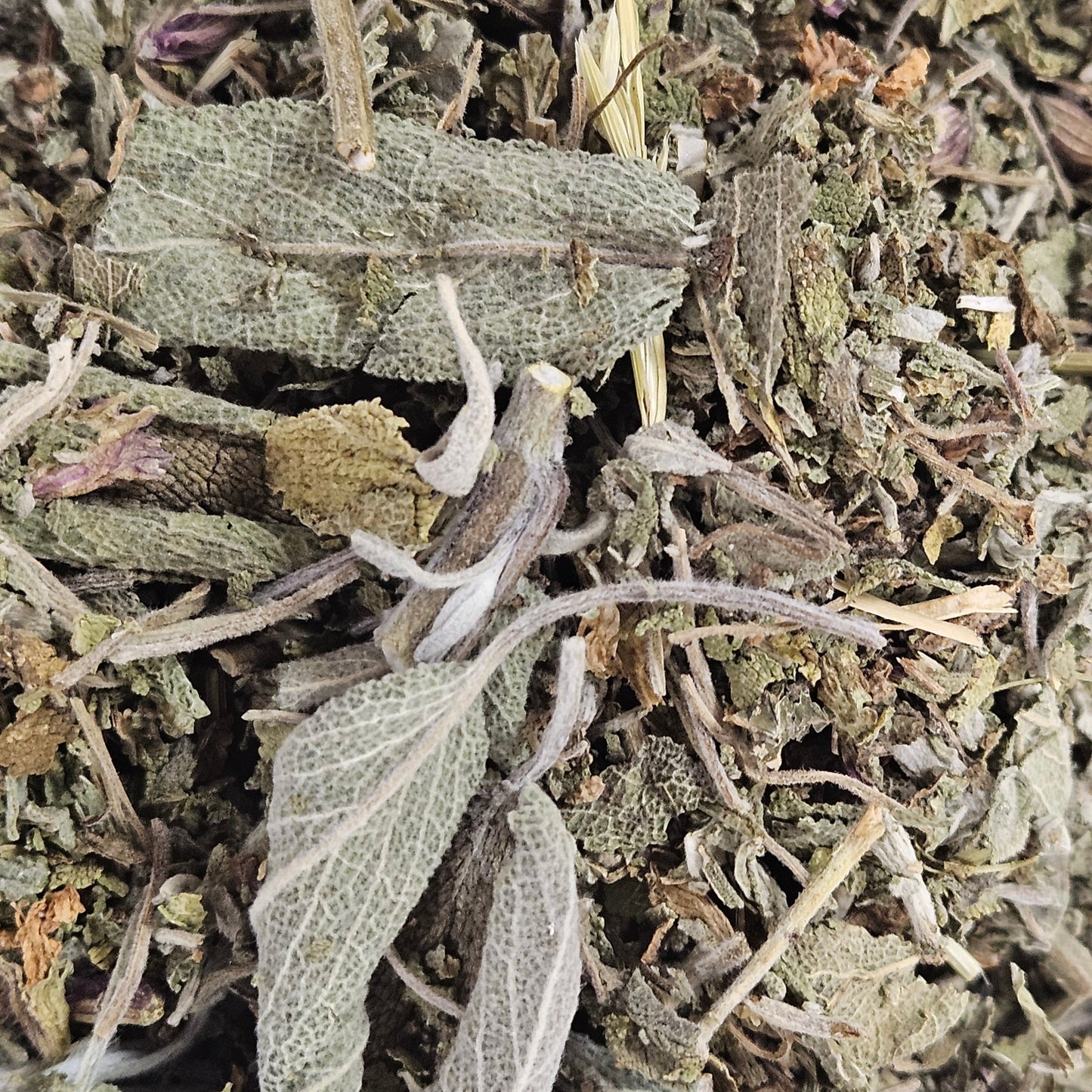 Sauge officinale france bio feuille coupé ( salvia officinale ) Ma boutique