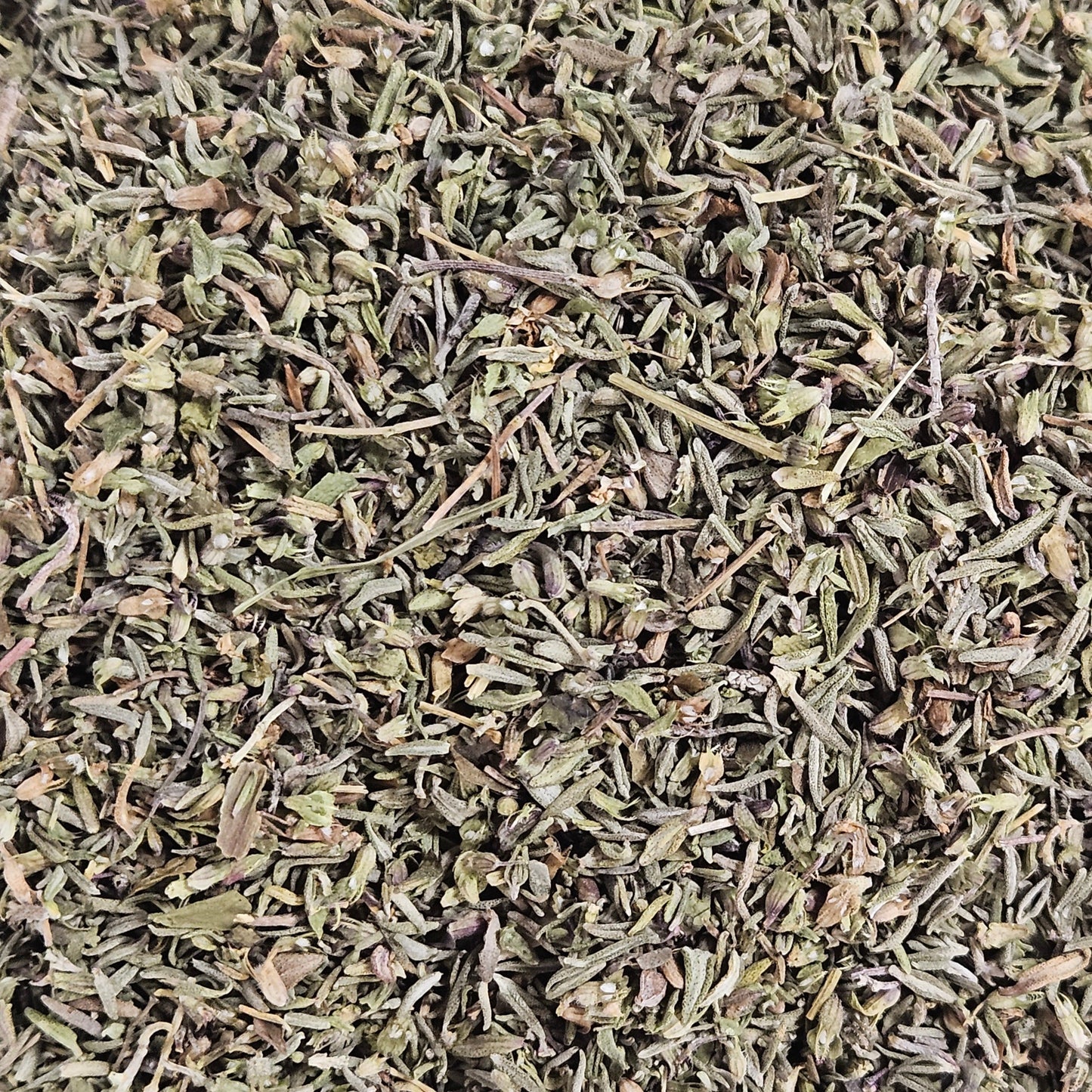 Thym Sud de la france feuille ( thymus vulgaris ) Ma boutique