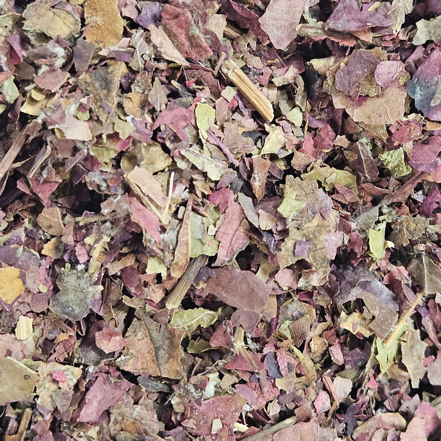 Vigne rouge