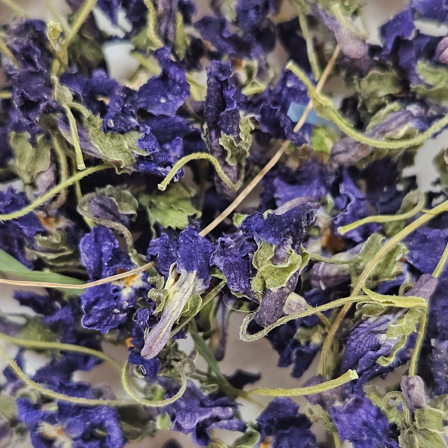 Violette fleurs Ma boutique