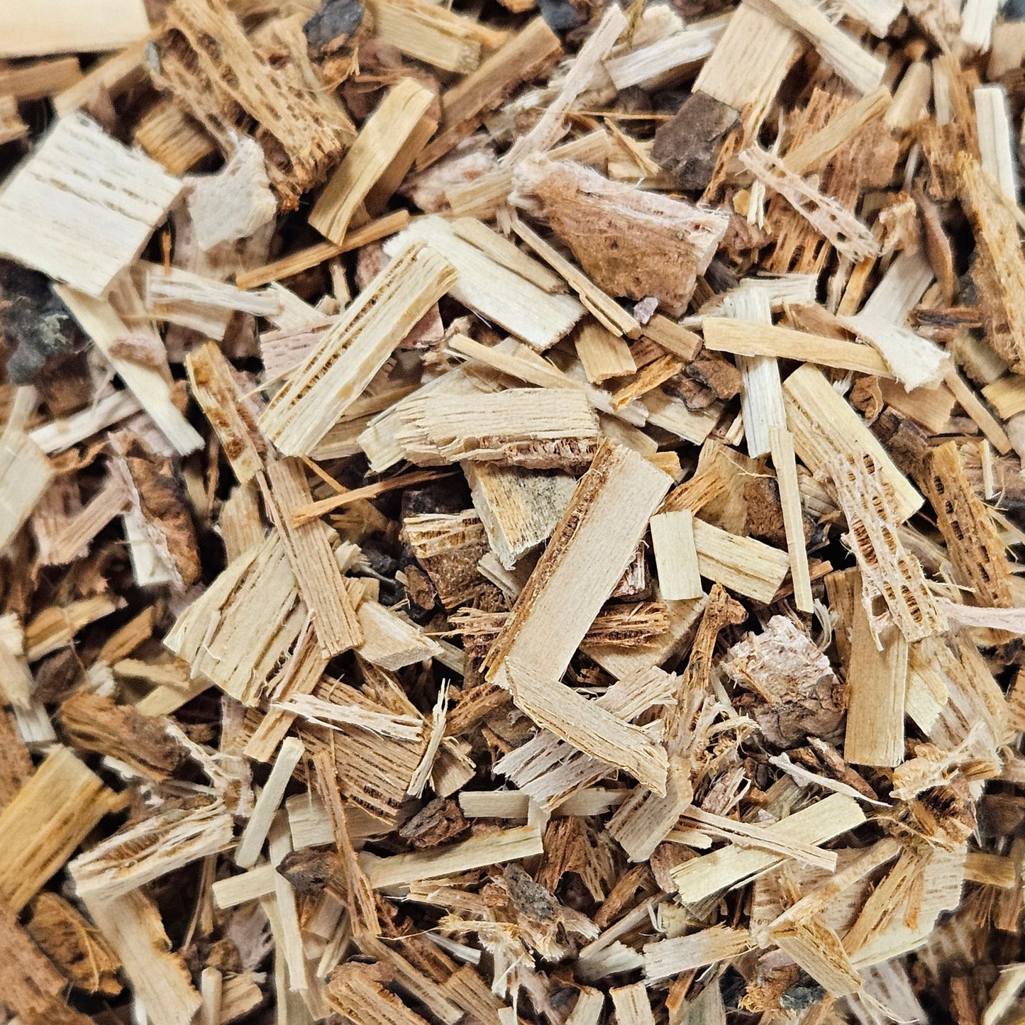 Aubier de tilleul copeaux