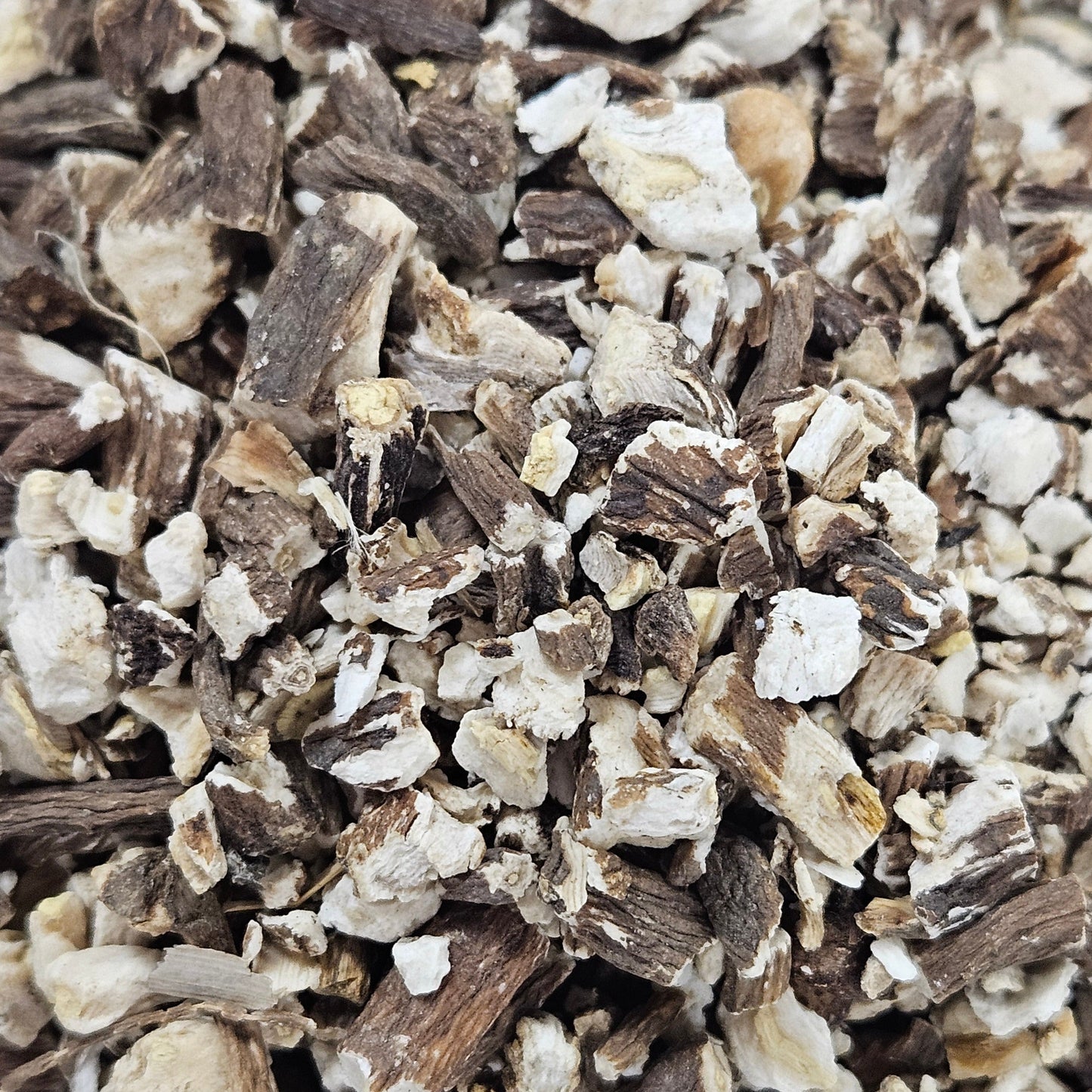 Pissenlit racine coupé ( taraxacum dens leonis ) Ma boutique