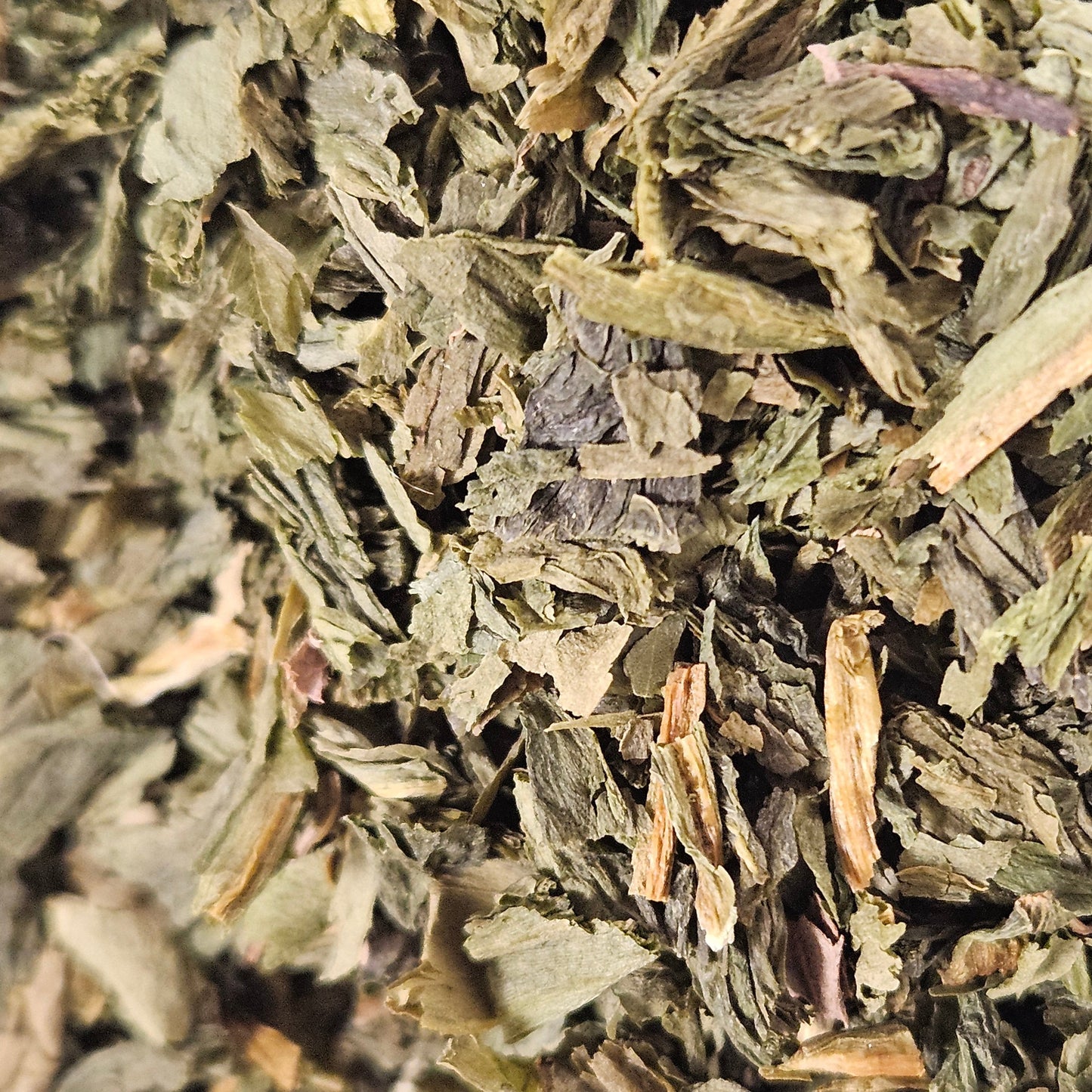 Ail des ours feuille La farigoule mille et une plante