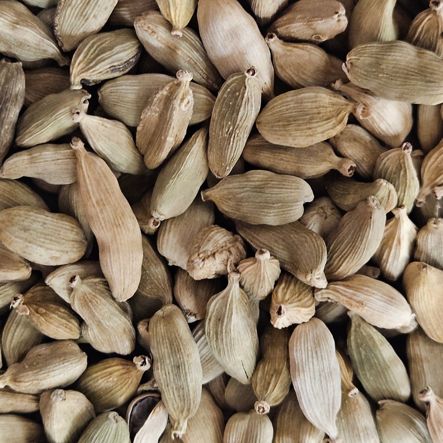 Cardamome fruits La farigoule mille et une plante