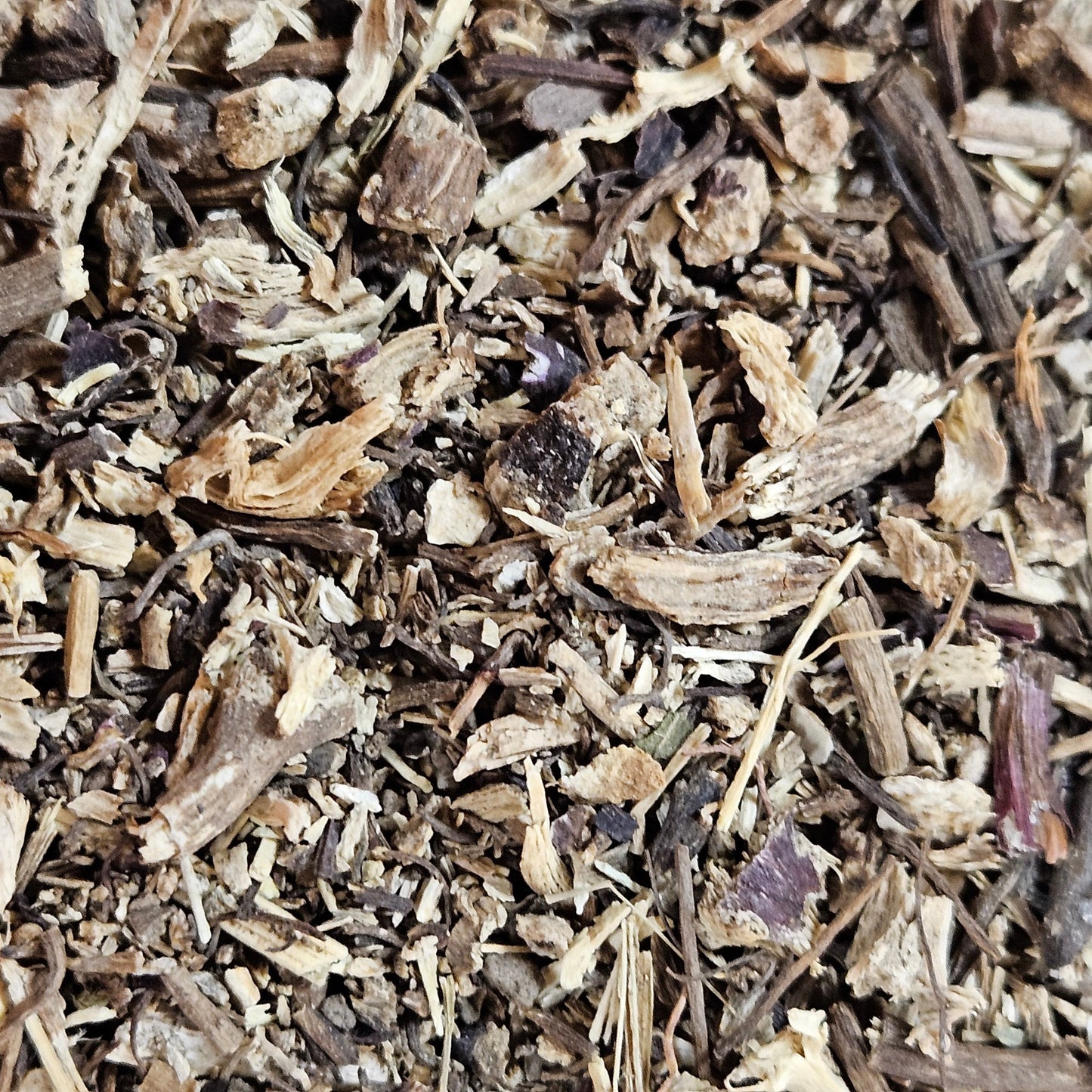 Echinacea racines La farigoule mille et une plante
