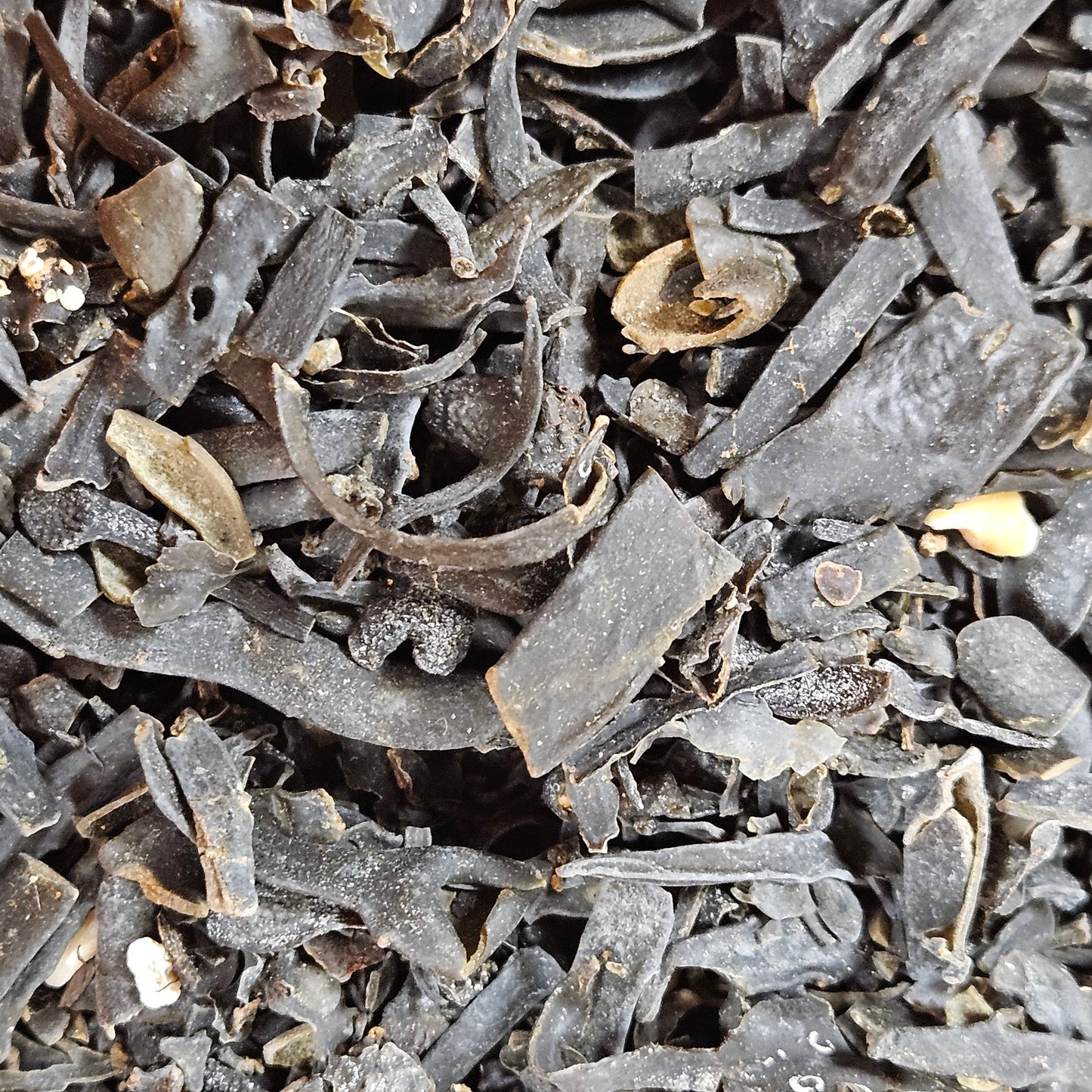 Fucus france coupé ( fucus ) La farigoule mille et une plante