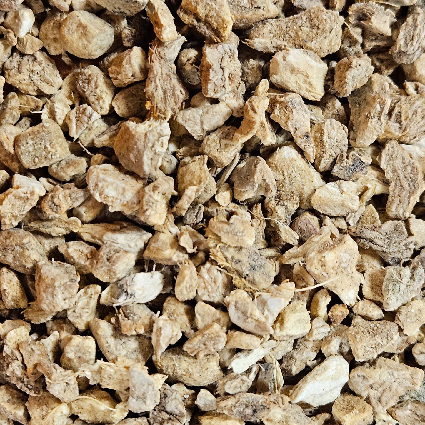 Gingembre racine coupé ( zingiber officinale ) La farigoule mille et une plante