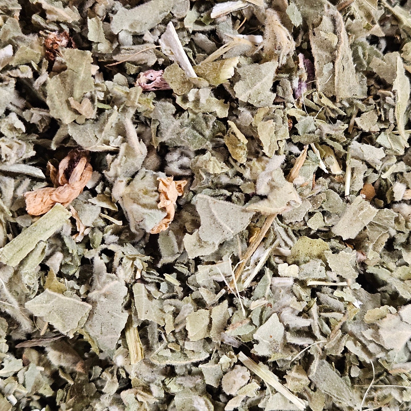 Guimauve feuille coupé bio ( althaea officinalis ) La farigoule mille et une plante