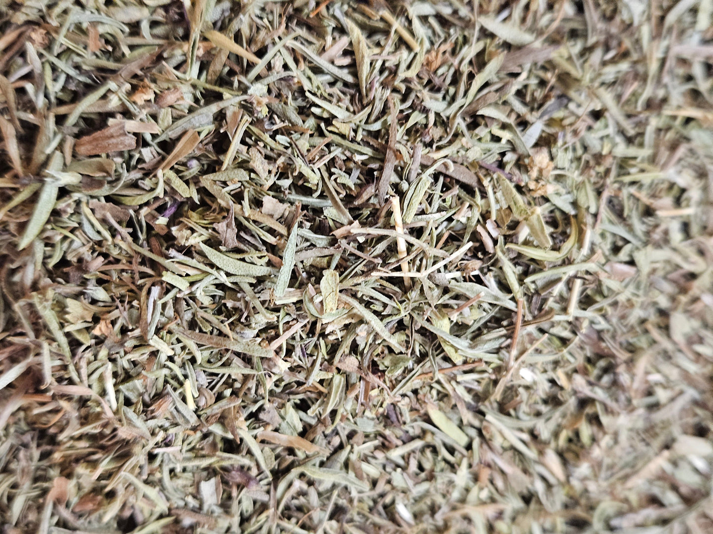 Sarriette feuille coupé ( satureja montana ) La farigoule mille et une plante