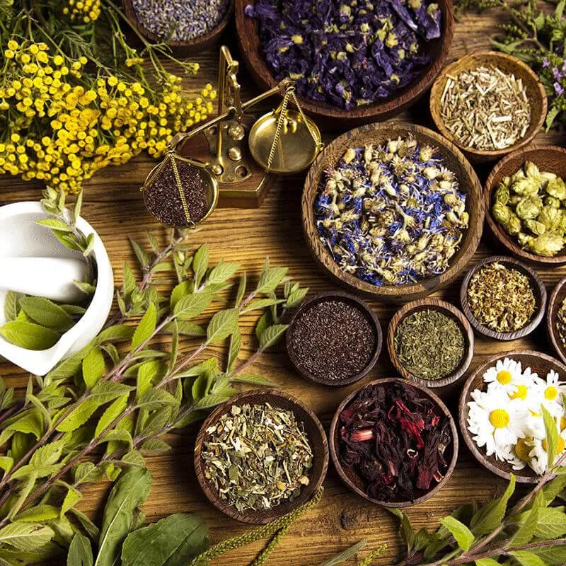 Plantes en vrac et épices - La farigoule mille et une plante