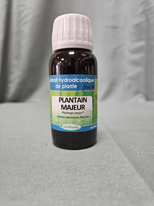 Teinture mère Plantain 60 ml phytofrance