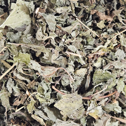 Melisse feuilles