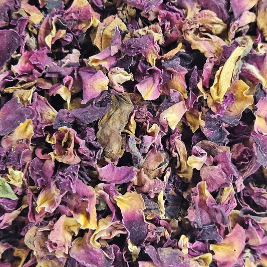 Rose du Pakistan pétales