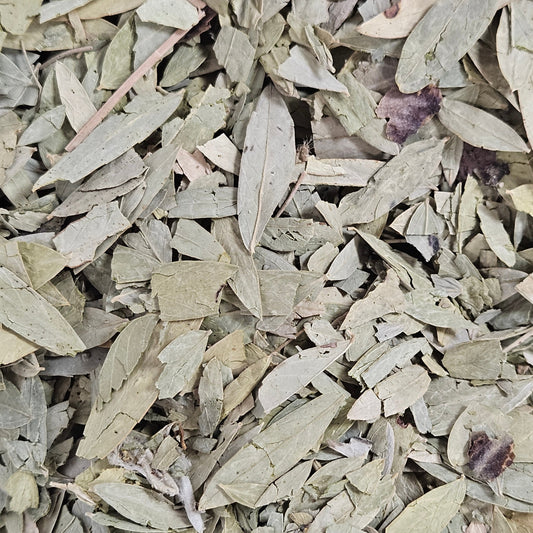 Séné feuille