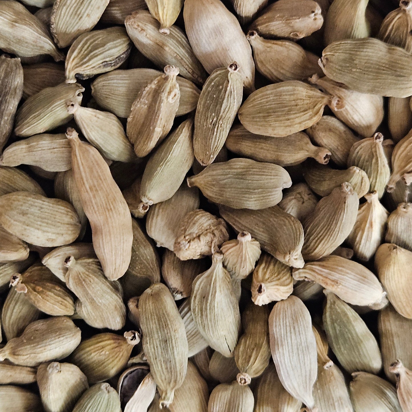 Cardamome fruits