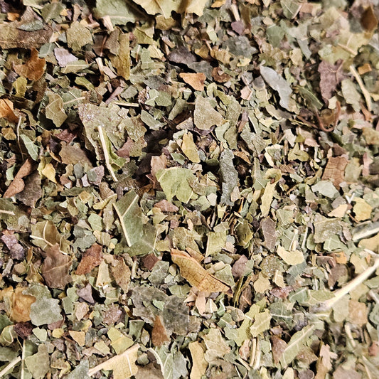 Mûrier feuilles