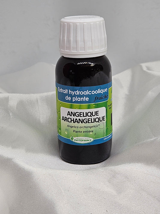 Extrait de plante fraîche angelique 60 ml Phytofrance