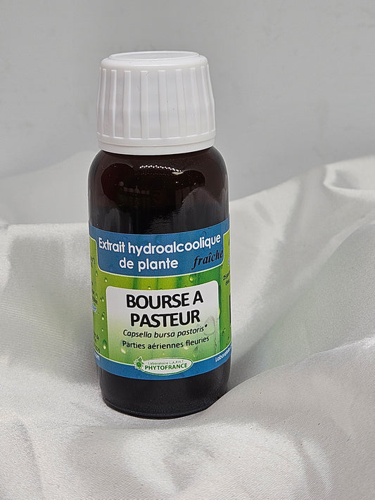 Extrait de plante fraîche Bourse à pasteur 60ml Phytofrance