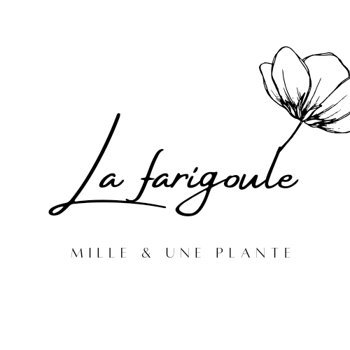 La farigoule mille et une plante