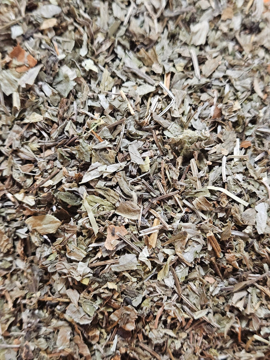 Asperule odorante partie aérienne coupé ( asperula odorata ) - La farigoule mille et une plante