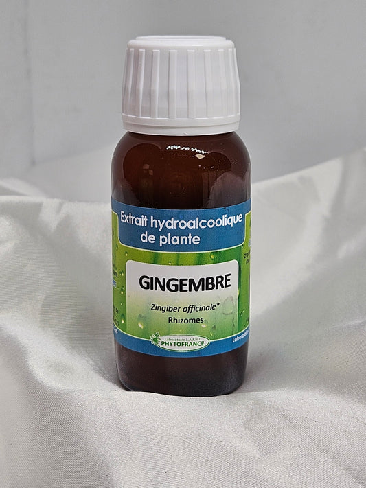 Extrait de plante fraîche Gingembre 60 ml Phytofrance - La farigoule mille et une plante