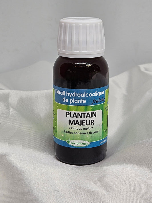Extrait de plante fraîche plantain 60 ml Phytofrance - La farigoule mille et une plante