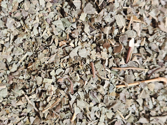 Figuier feuille coupé ( ficus carica ) - La farigoule mille et une plante
